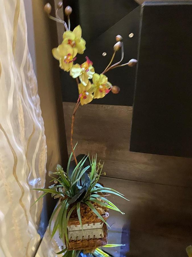 Cantinho Do Conego Apartment Nova Friburgo